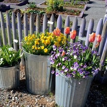 Containers