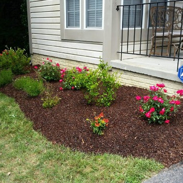 Various Front Borders