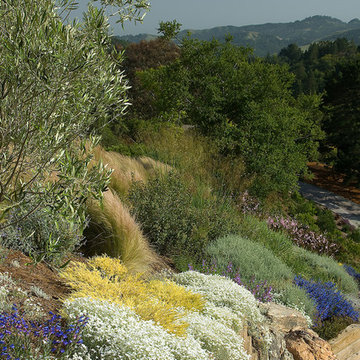 Embracing the Landscape