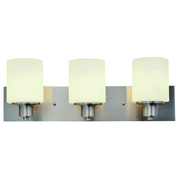 Dane 3-Light Indoor Silver Stainless Steel Bathroom Vanity Light in Satin Nickel