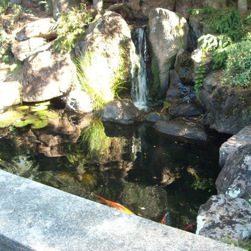 Japanese Koi Ponds