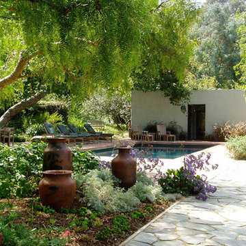 Drought-tolerant Mediterranean