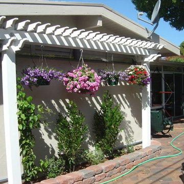 T-Arbors and Trellis