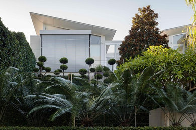 Design ideas for a contemporary garden in Sydney.