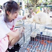 Ai-ai Yang's photo