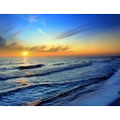 Andrea Iwi'ula's photo
