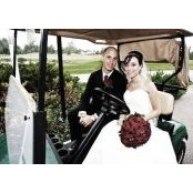 Dina Almeida's photo
