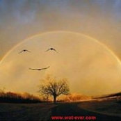 Anu Jain's photo