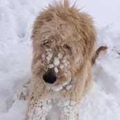 Lisa Clearman's photo