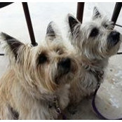 Lindy Cash's photo