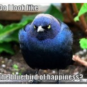Stella Gump's photo