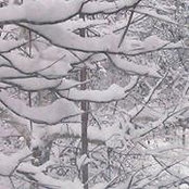 Cherry Vichi's photo