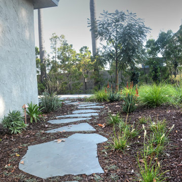 Zen in a backyard