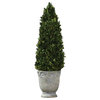 Uttermost 60111 Boxwood Cone Topiary