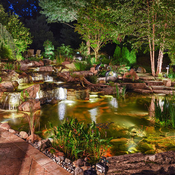 Fish Pond, Ecosystem Pond, Water Garden, in Randolph, NJ