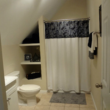 Attic Remodel