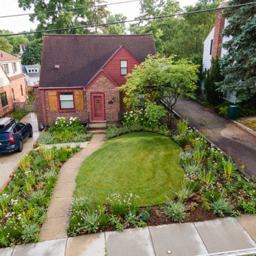 Neglected Landscape Turns into Pollinator Paradise