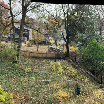 Deep cleaning and invasives removal