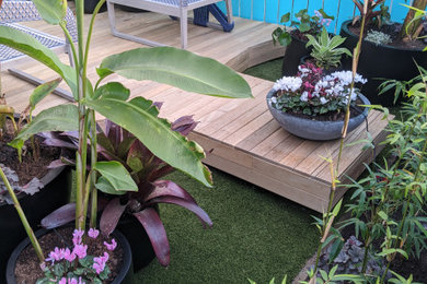 Design ideas for a small tropical courtyard full sun garden in Auckland with decking.