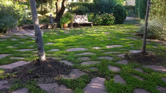 Cubierta de paseo con dichondra repens