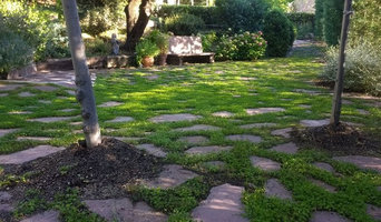 Cubierta de paseo con dichondra repens