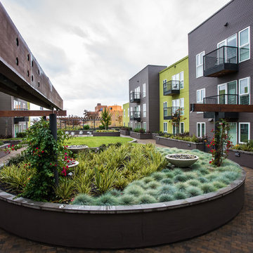 Luxurious Apartment Living