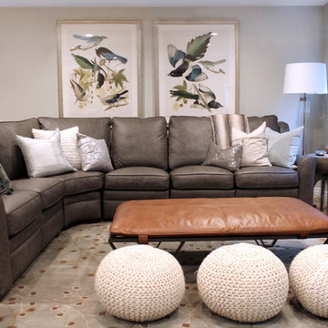 Hilltop Basement Remodel