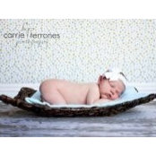 Samantha Weitzel's photo