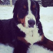 Janelle Mudge's photo