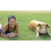 Bay Fang's photo