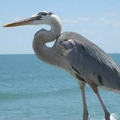 Stephanie Bernier's photo