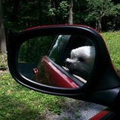 Lanie Bittner's photo