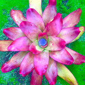 Eloise Parker's photo