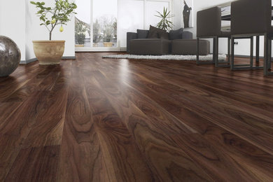Example of a trendy dark wood floor living room design in Miami with white walls