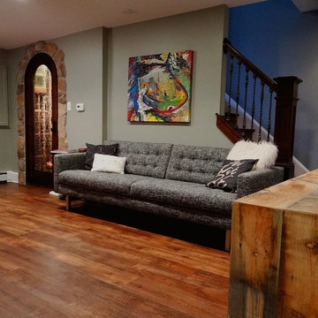 Lower Level Remodel with Wine Cellar