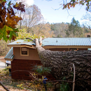 Tree Emergency