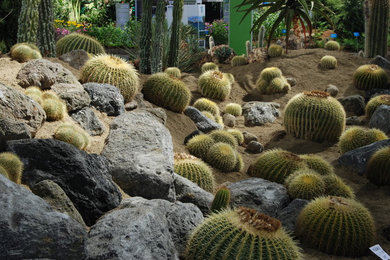 Photo of a southwestern landscaping in Philadelphia.