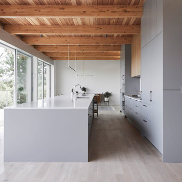 Mid-Century “Treehouse” Kitchen