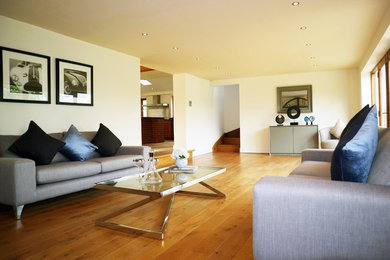 Design ideas for a contemporary living room in Other.