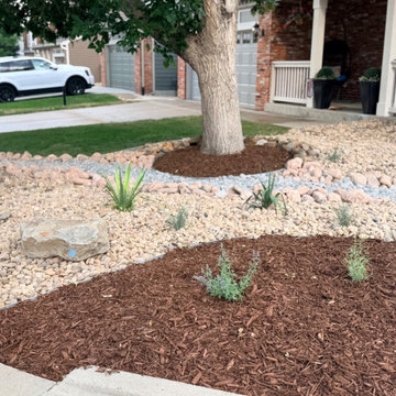Xeriscape Transformation - Highlands Ranch, CO