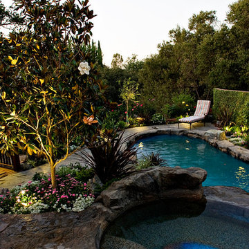 Swimming Pools and Spas