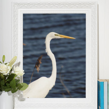 Great White Egret Animal Wildlife Photograph Bird Wall Art Prints