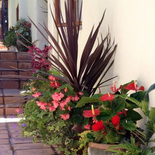 1 Courtyard