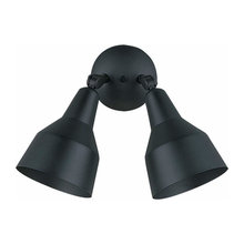 Backdoor Outdoor Lighting Fixture