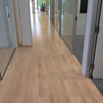 Natural Hard Maple Hardwood Flooring - Hall