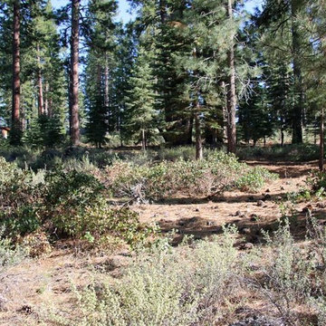 Lot for Sale - 307 James McIver, Lahontan Subdivision