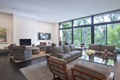 Trendy living room photo in Chicago