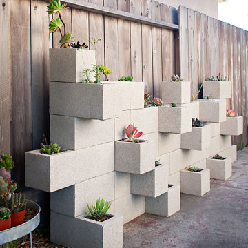 Succulent Planter Wall