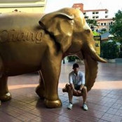 Alexandre Luu's photo