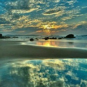 Ariel Levy's photo